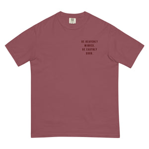 The SD Men’s garment-dyed heavyweight t-shirt