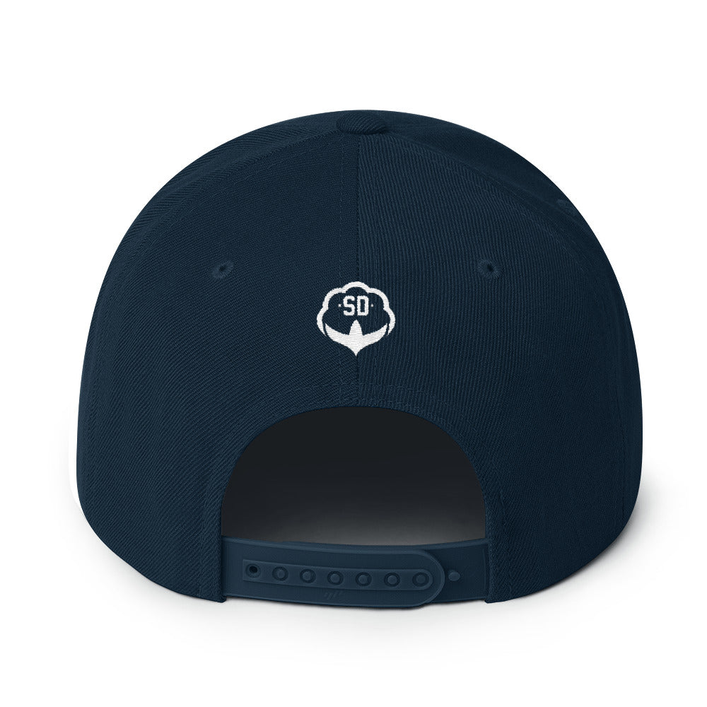 The SkyDreamers Snapback Hat