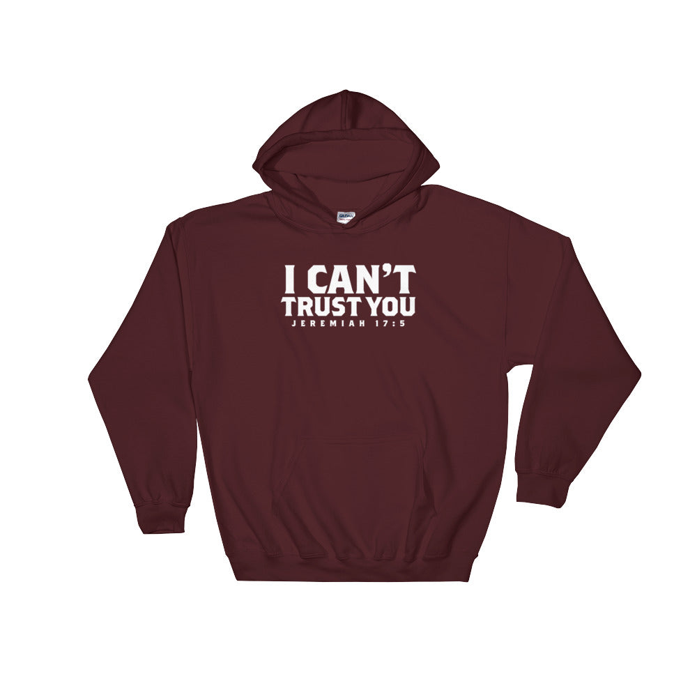 The ICTY Hooded Sweatshirt w/Scripture